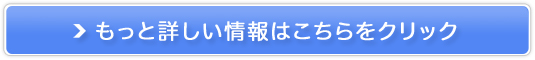 yAIvO~OzAIlވ琬6R[X̔TCg